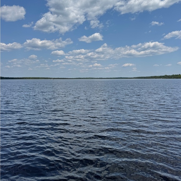 Meet your Posher, Mel - Picture 1 of 1